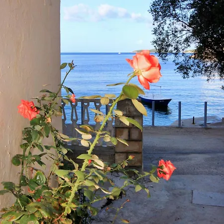 By The Sea Brna, Korcula - 171 Smokvica (Korcula)